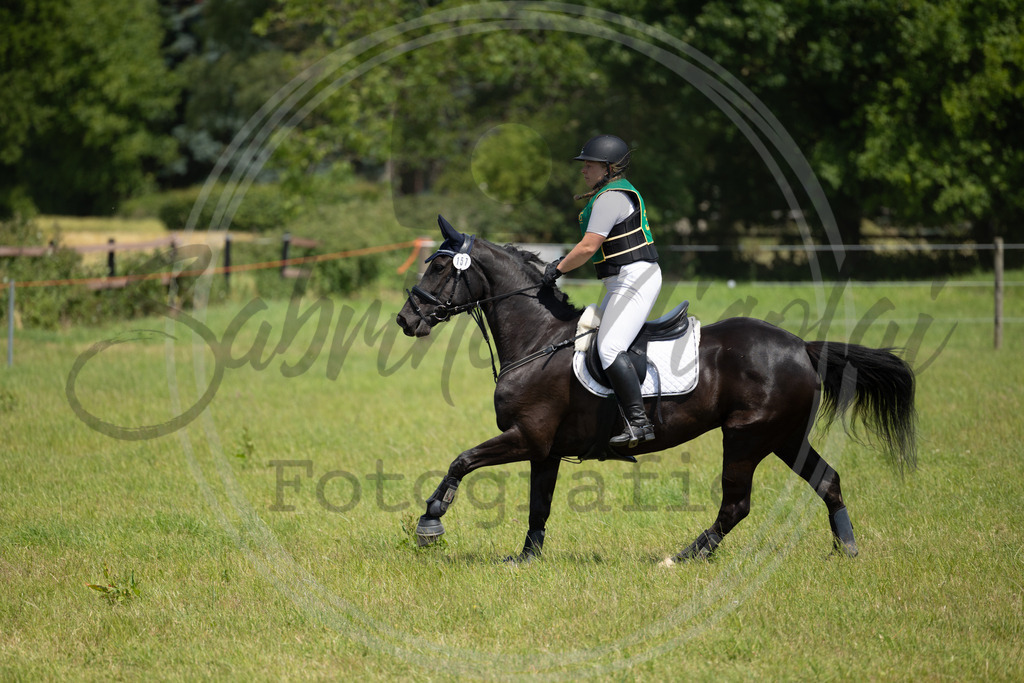 994A0841 | sabrinanicolaifotografie - Realisiert mit Pictrs.com