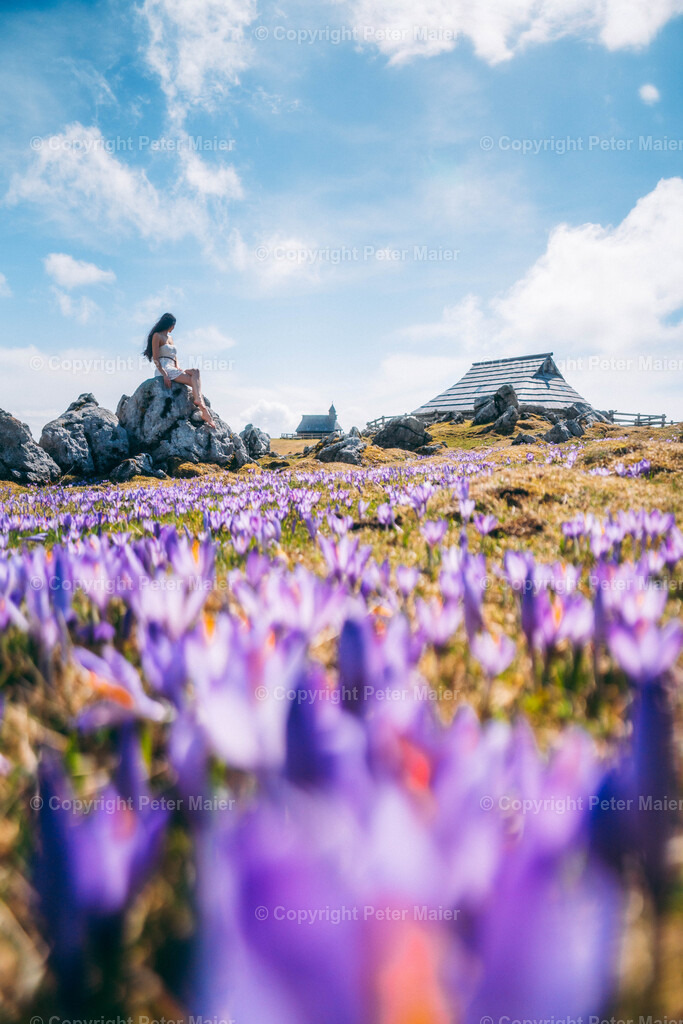 Velika Planina9 | piet_flosse