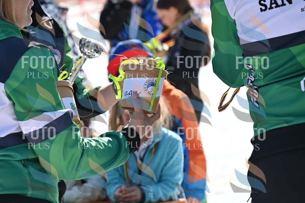 C7376 | holidayphoto