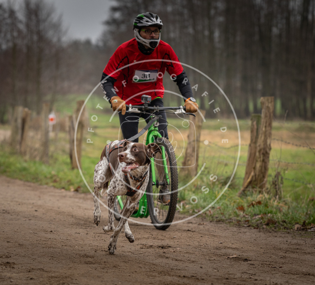 Pfotenfotografie_DV3A2543 | Hundefotografie, Tierfotograf, Pfotenfotografie, Fotoshooting Hund, Hunde Portrait, Hundesport, Hundeportraits, Heideshooting, Hunde, Sportfotograf, Hundefotograf, Turnierhundsport, THS,  - Realisiert mit Pictrs.com