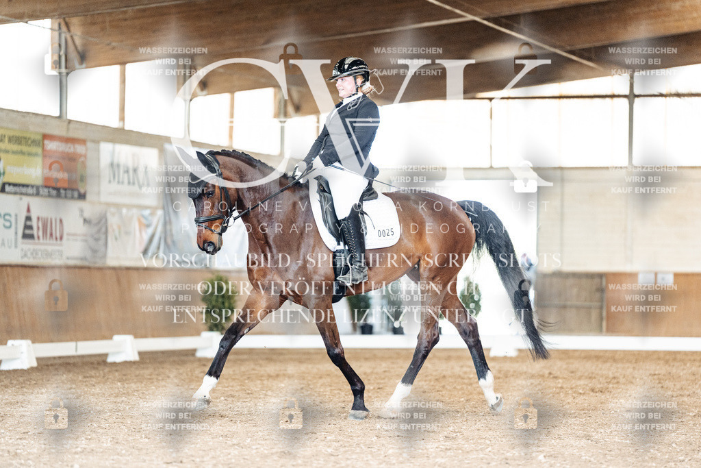 CK901586 | Turnierfotografie Pferdefotografie Trier Rheinland-Pfalz Pferdesport Reitsport Tierfotografie Sportfotografie Pferdevideo Pferdevideografie Equestrianvideography equestrianphotography  - Realized with Pictrs.com