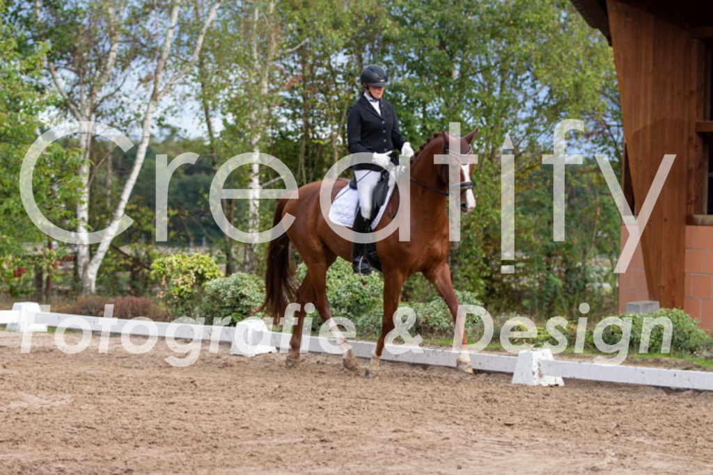 IMG_4982 | Creatify Fotografie