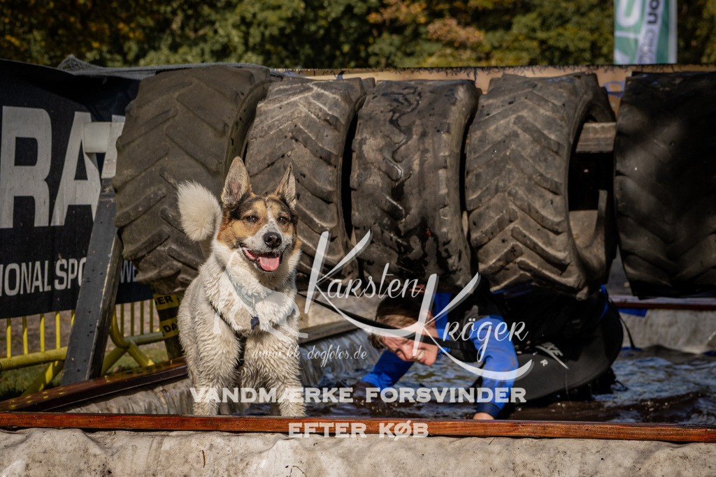 1306_ZZ91980 | kk-dogfotos