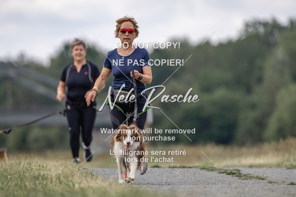 nelerasche_BuHu2026_SaCC1100-1200_148 | nelerasche