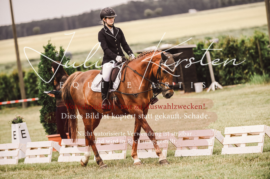 DSC_4788 | Pferde- und Turnierfotografie in Westsachsen. Pferdeportraits, Auftragszeichnungen und intuitive Kunst.
