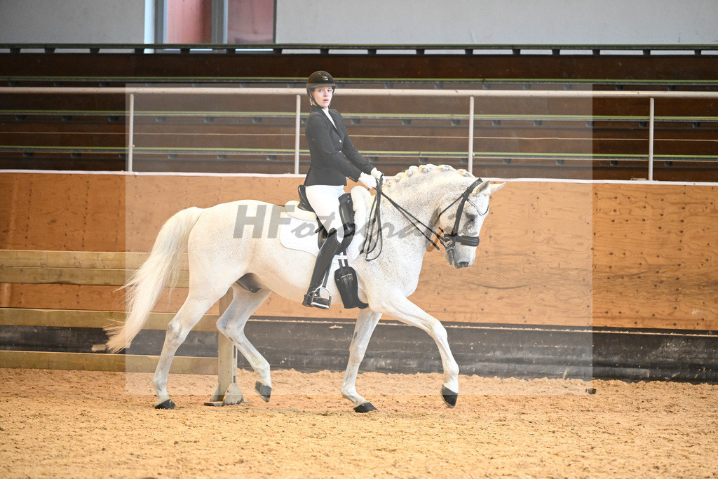 Kat-Nr. 22 Heslegaards Rismon v. Heslegaards Rubin_Barlaup_6241182 | hf-fotografie - Realisiert mit Pictrs.com