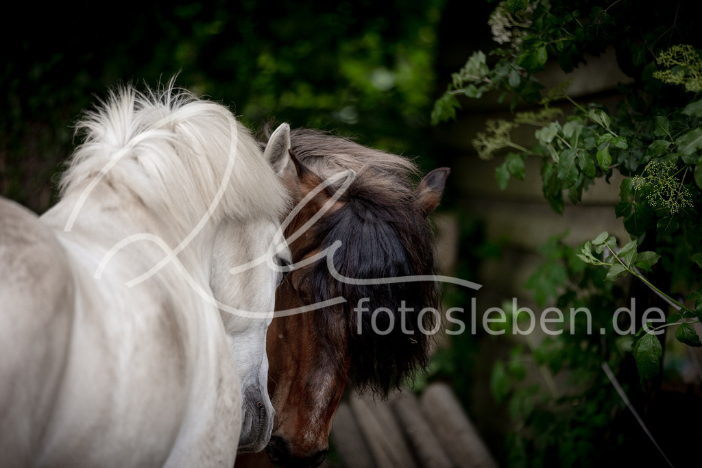846A0472 | fotosleben - Realisiert mit Pictrs.com
