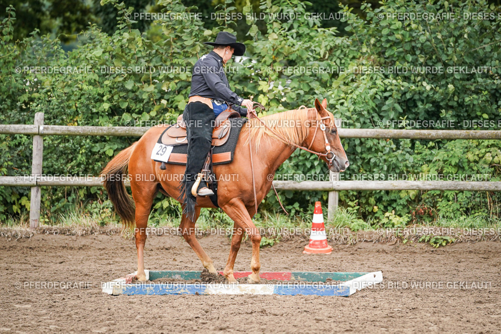 DSC03222 | Pferdegrafie