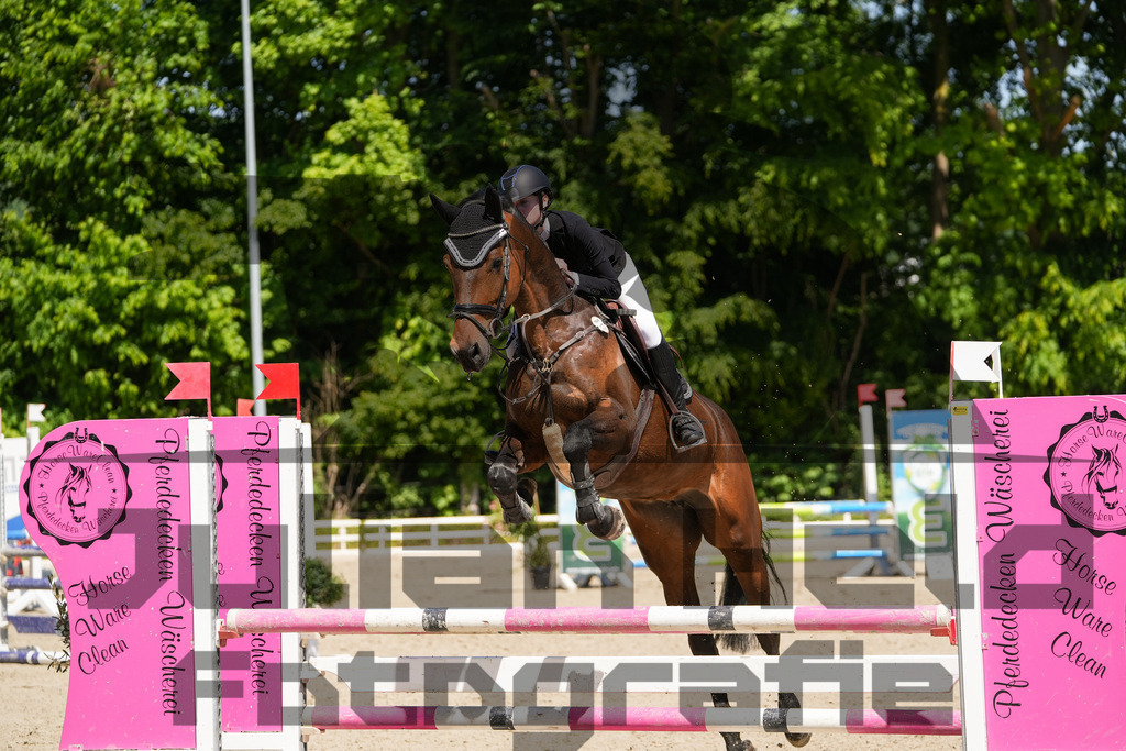 DSC02309 | Julian Held Fotografie - Realisiert mit Pictrs.com