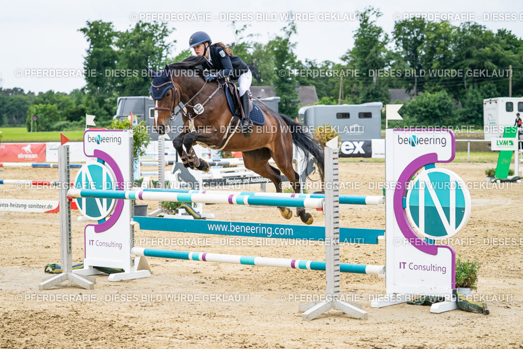 DSC06197 | Pferdegrafie