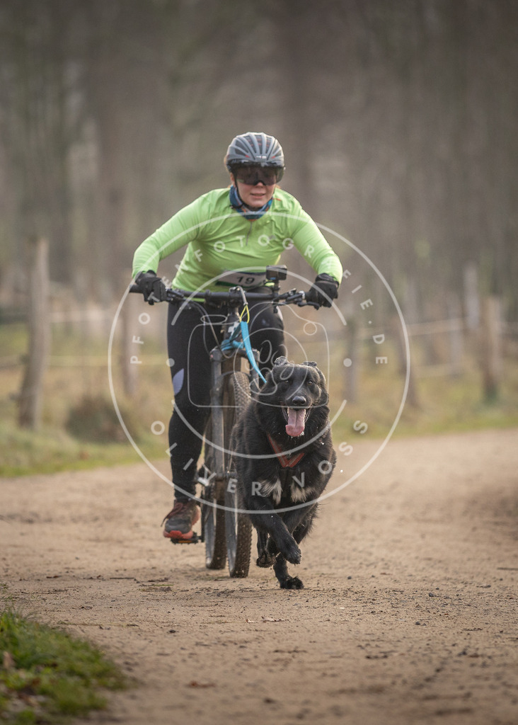 Pfotenfotografie_DV3A1933 | Hundefotografie, Tierfotograf, Pfotenfotografie, Fotoshooting Hund, Hunde Portrait, Hundesport, Hundeportraits, Heideshooting, Hunde, Sportfotograf, Hundefotograf, Turnierhundsport, THS,  - Realisiert mit Pictrs.com