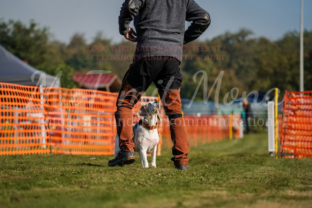 20250928_Hunderennen-125 | MuT (Mensch und Tier) mit Mona - Fotografie und Tierkommunikation - Realisiert mit Pictrs.com