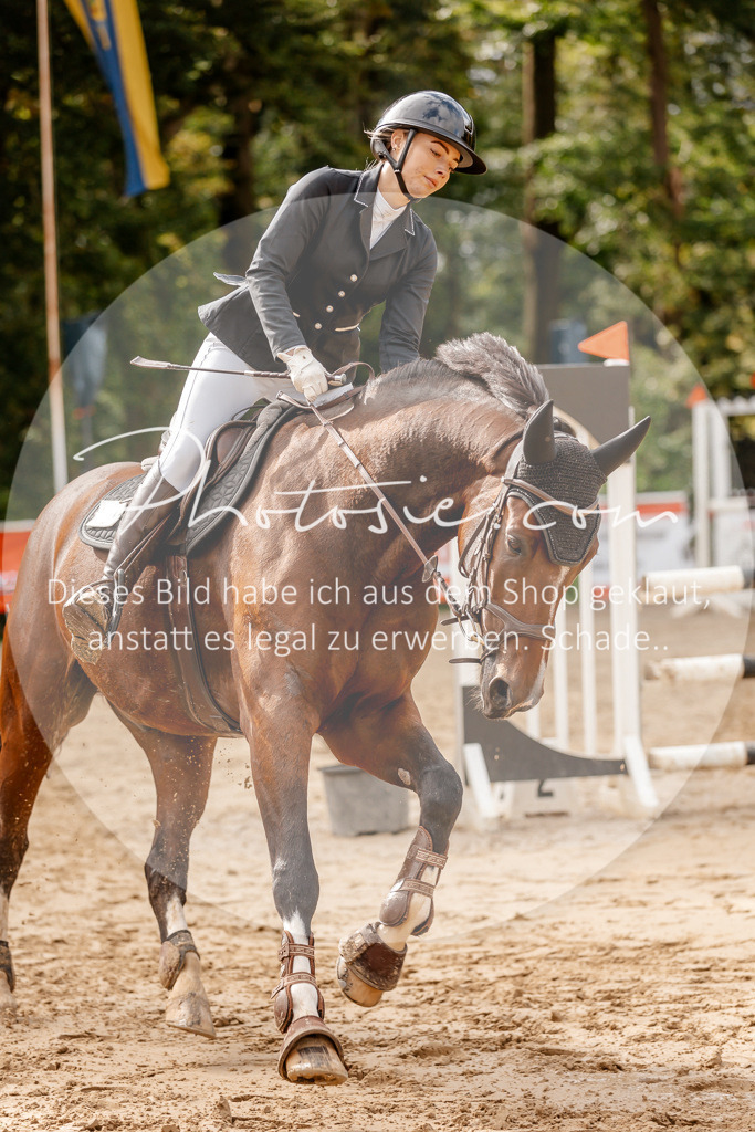 3I6A6774 | Stimmungsvolle Portraits und Reitsportfotografie im Ruhrgebiet und im Münsterland.

Pferdefotografie, Hundefotografie, Tierfotografie, Reportagen, Portraits von Tier und Mensch, Turnierfotografie in Bochum, Recklinghausen, Marl, Haltern am See, Dülmen.. - Realisiert mit Pictrs.com