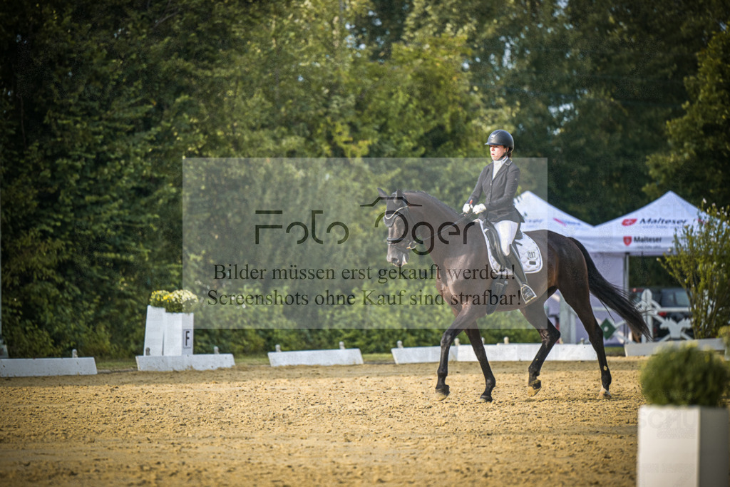 DOS_0991 | Entdecke hochwertige Reitturnierfotos von Foto Oger. Professionell, emotional und authentisch – jetzt Lieblingsmomente im Shop bestellen.Deutschlandweite Turnierfotografie. - Realisiert mit Pictrs.com