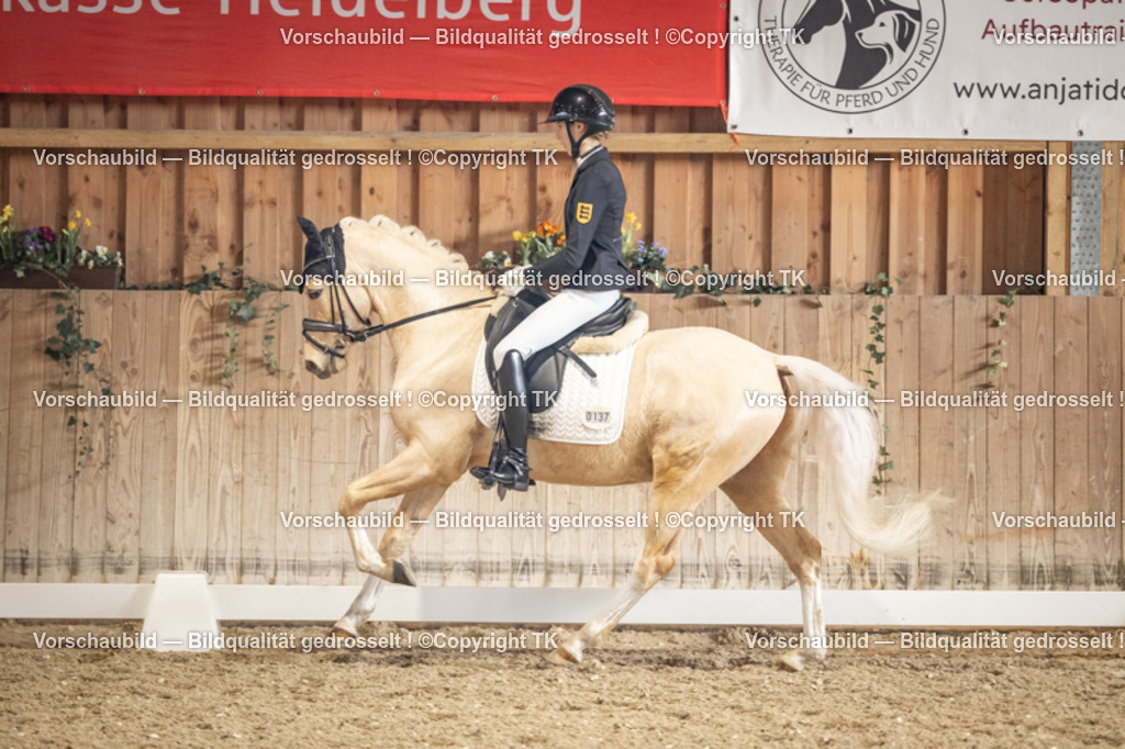 _D5A1388 | Emotionale Pferde- & People-Fotografie rund um Heidelberg, Leimen & Umgebung. Natürliche Fotos von Pferd, Mensch & Familie. Jetzt Termin sichern!