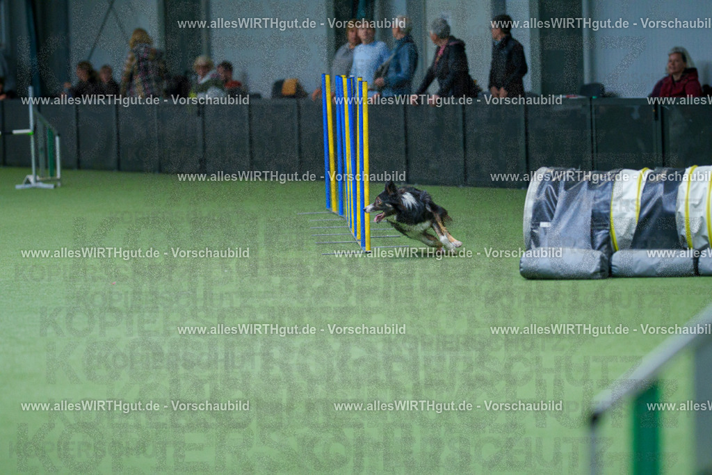 @allesWIRTHgut_Tierfotografie - www.allesWIRTHgut.de - 2604251102-7R500998 | Professionelle Tierfotografie in Mönchengladbach von Daniel Wirth (allesWIRTHgut). Liebevolle & natürliche Bilder von Hunden & Katzen für unvergessliche Erinnerungen.