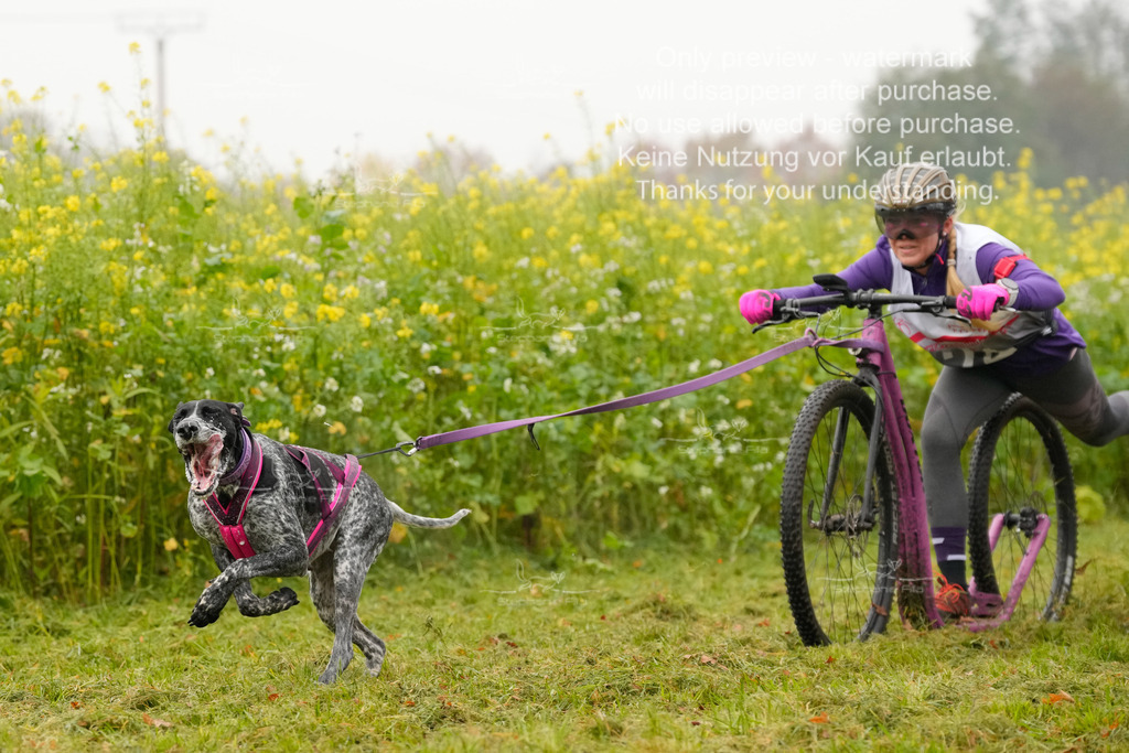 Visbeck_Sa_Scooter_Hc-43 | stephaniefillaphotographie - Realisiert mit Pictrs.com