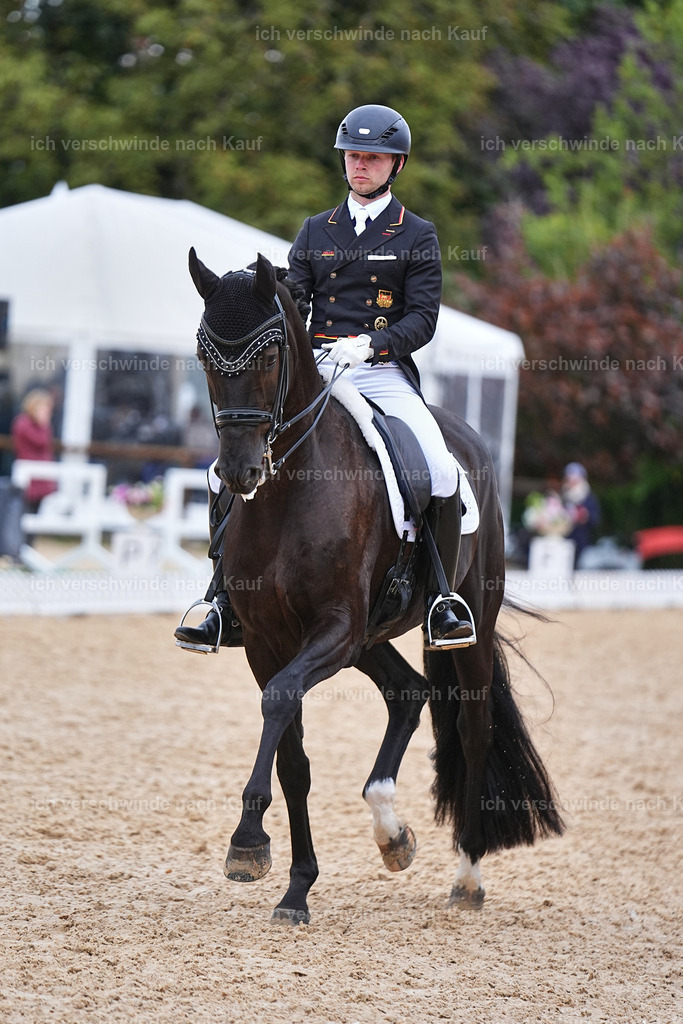 12-229-DRESSUR  S___  -Marixx-5236 | working equitationturnier fotograf videograf stoibphotography marixx film working equitation deutschland reitsport turnierfotografie eventfotografie equestrian events