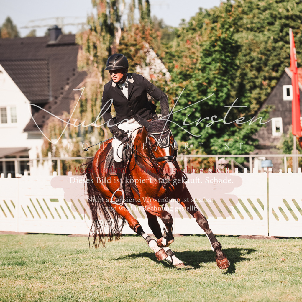 DSC_2203 | Pferde- und Turnierfotografie in Westsachsen. Pferdeportraits, Auftragszeichnungen und intuitive Kunst.