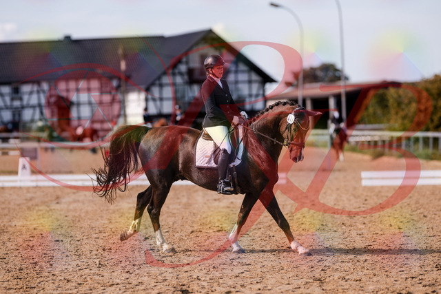 2026_10_03_Siefer-Hof_132537_Z81_77309871 | Professionelle Reitsport-, Turnier- und Eventfotografie von Robert Broda. Galerien mit ausgewählten und bearbeiteten Bildern direkt online ansehen und bestellen.