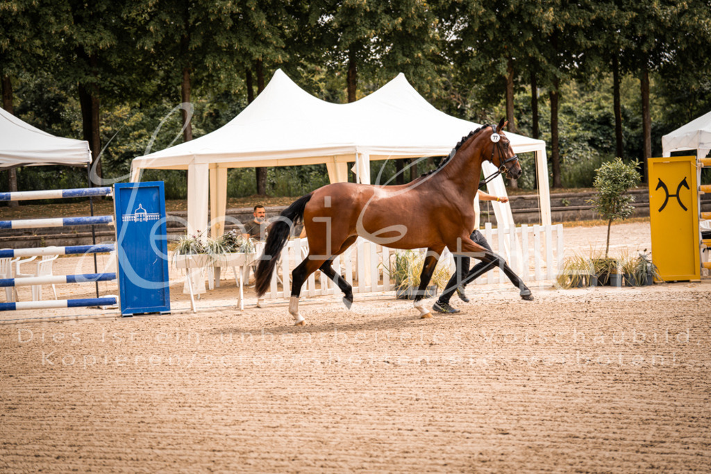 4.Fr00033 | Leoni Ertmer Photography - Realisiert mit Pictrs.com