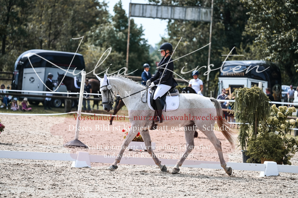 DSC_5294 | Pferde- und Turnierfotografie in Westsachsen. Pferdeportraits, Auftragszeichnungen und intuitive Kunst.