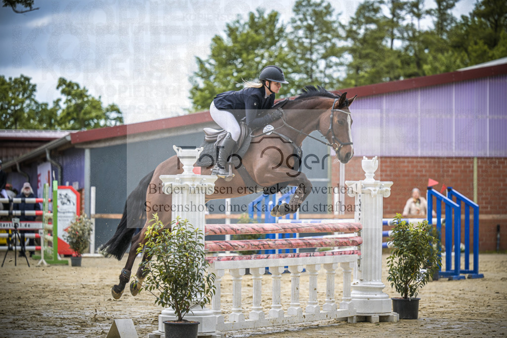 DOS_7030 | Entdecke hochwertige Reitturnierfotos von Foto Oger. Professionell, emotional und authentisch – jetzt Lieblingsmomente im Shop bestellen.Deutschlandweite Turnierfotografie. - Realisiert mit Pictrs.com