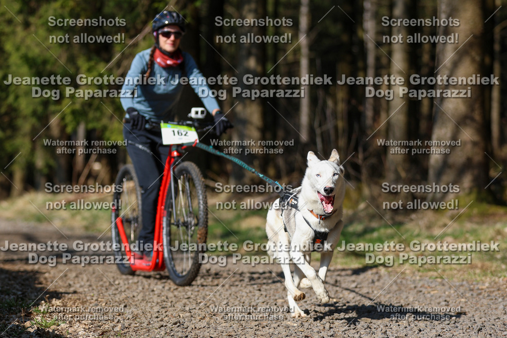 Dog Paparazzi - VCC26-133 | Dog Paparazzi Jeanette Grottendiek Fotografie & Videografie - Realisiert mit Pictrs.com