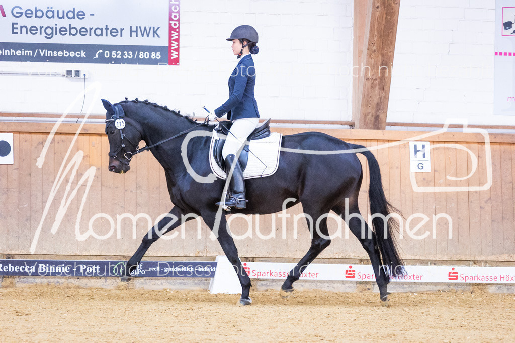 Sth-A-Dre-1St-082 | MomenTaufnahmen Pferdesportfotos