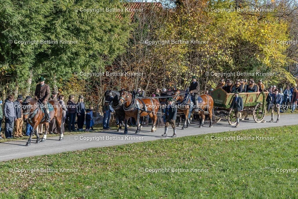 LBT25-162 | foto-bettina-krinner - Realisiert mit Pictrs.com