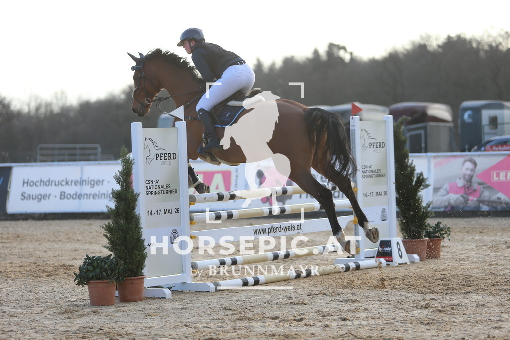 DL2Q7919 | Willkommen bei Brunnmayr - Design & Fotografie – Ihrem Spezialisten für Reitturniere und Pferdeveranstaltungen in Oberösterreich, Salzburg und Bayern! Seit über 17 Jahren sind wir leidenschaftlich dabei.