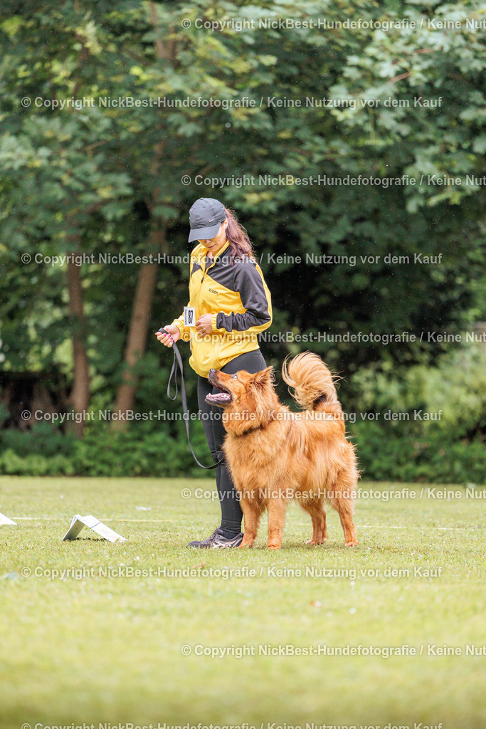 RO-Blumenthal-2026-Nickbest-Hundefotografie-3635 | Dein Hund! Dein Moment! Deine Erinnerungen! Hundefotografie in Bremen Blumenthal. Ich fange die besonderen Momente deines Vierbeiners ein – ob Indoor mit Blitzanlage oder in der freien Natur. Sicher dir dein Moment und dein Termin für eure Erinnerungen.