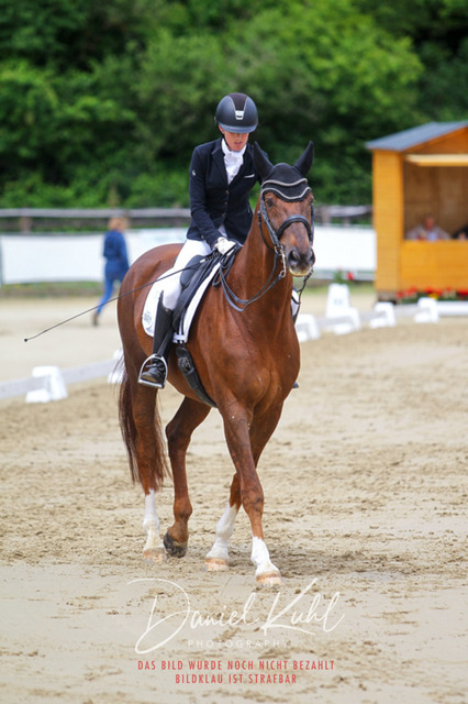 DKP47627 | Turniersportfotografie; Pferdefotografie; Dressurfotografie