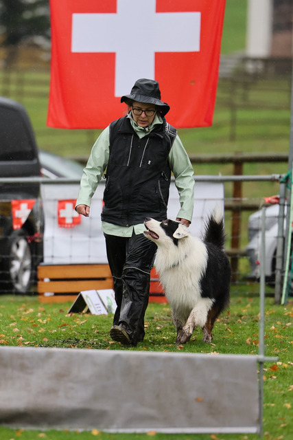 2025_Rally_Obedience_SM-254 | Ich fotografiere Hundeausstellungen, Sportanlässe, Zuchtstätten, Hundezucht, Hundeportrait, Lagotto - Realisiert mit Pictrs.com