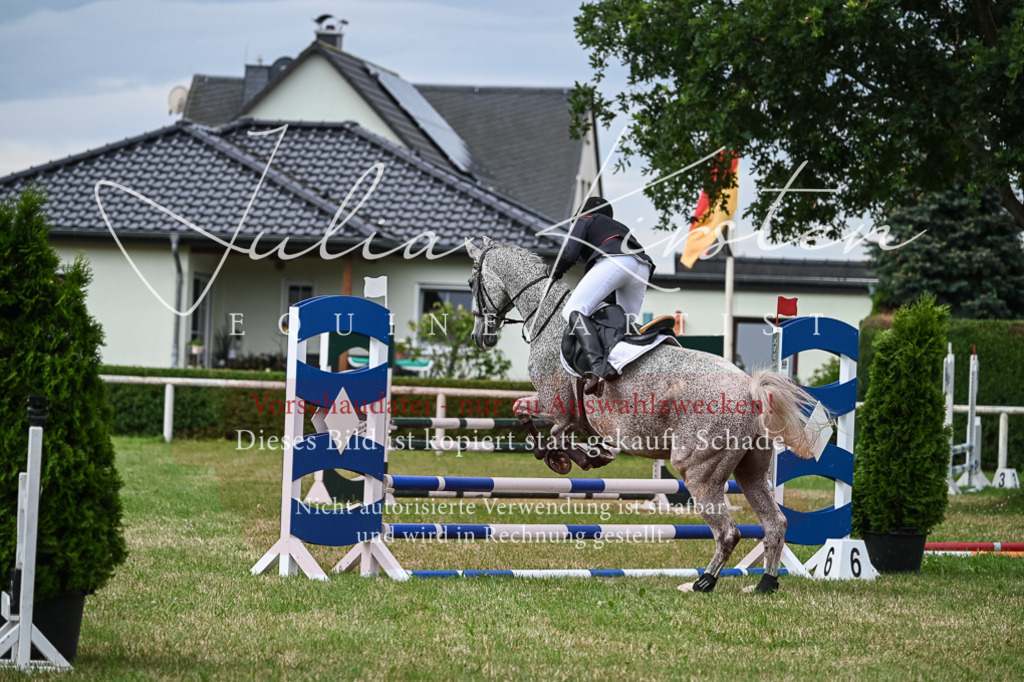 DSC_8343 | Pferde- und Turnierfotografie in Westsachsen. Pferdeportraits, Auftragszeichnungen und intuitive Kunst.