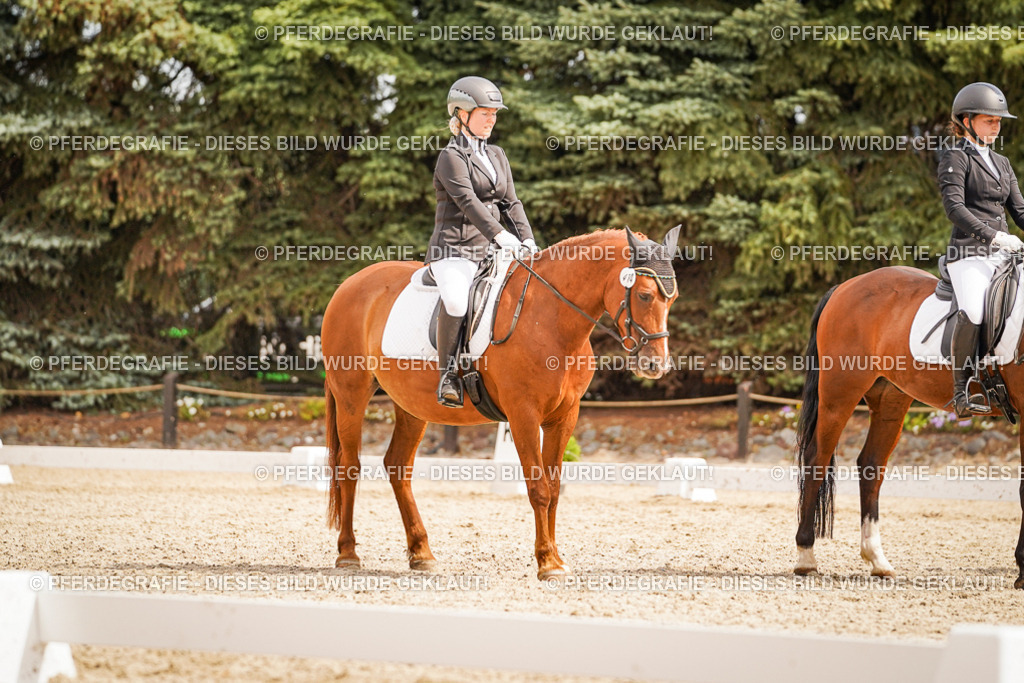 DSC01927 | Pferdegrafie