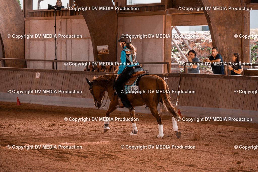 NE201142 | dv-media-shop - Realisiert mit Pictrs.com