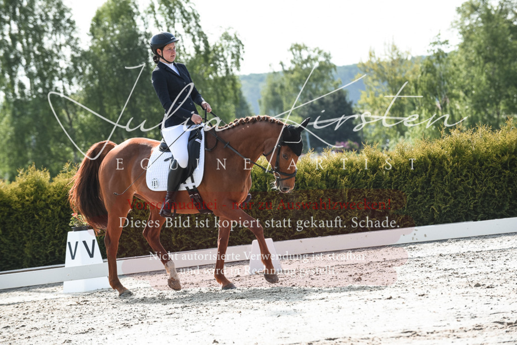 20230518_JK-Röhrsdorf-09-1179 | Pferde- und Turnierfotografie in Westsachsen. Pferdeportraits, Auftragszeichnungen und intuitive Kunst.