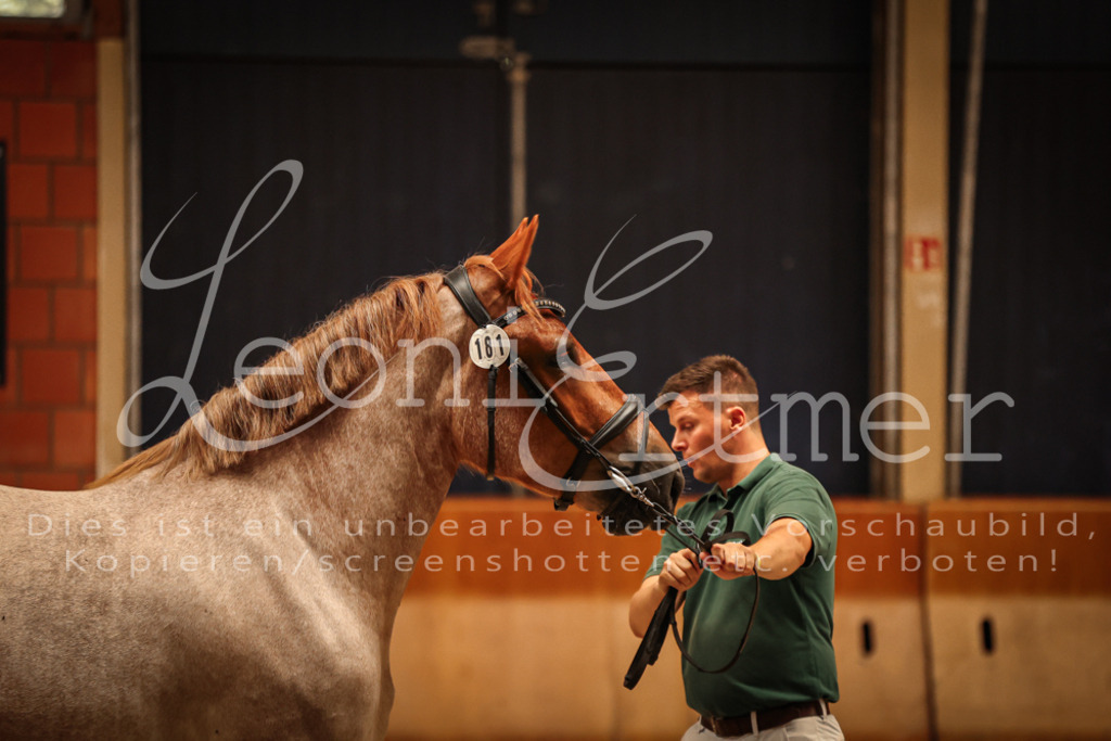 SaFL00055 | Leoni Ertmer Photography - Realisiert mit Pictrs.com