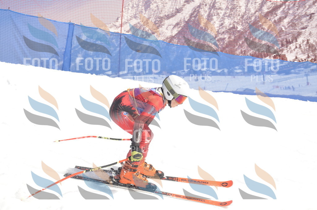 _ELE9415 | holidayphoto