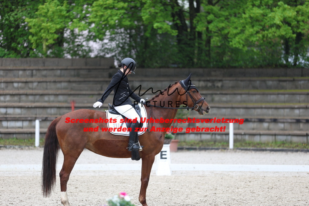 A40A8663 | lmwpictures - Realisiert mit Pictrs.com