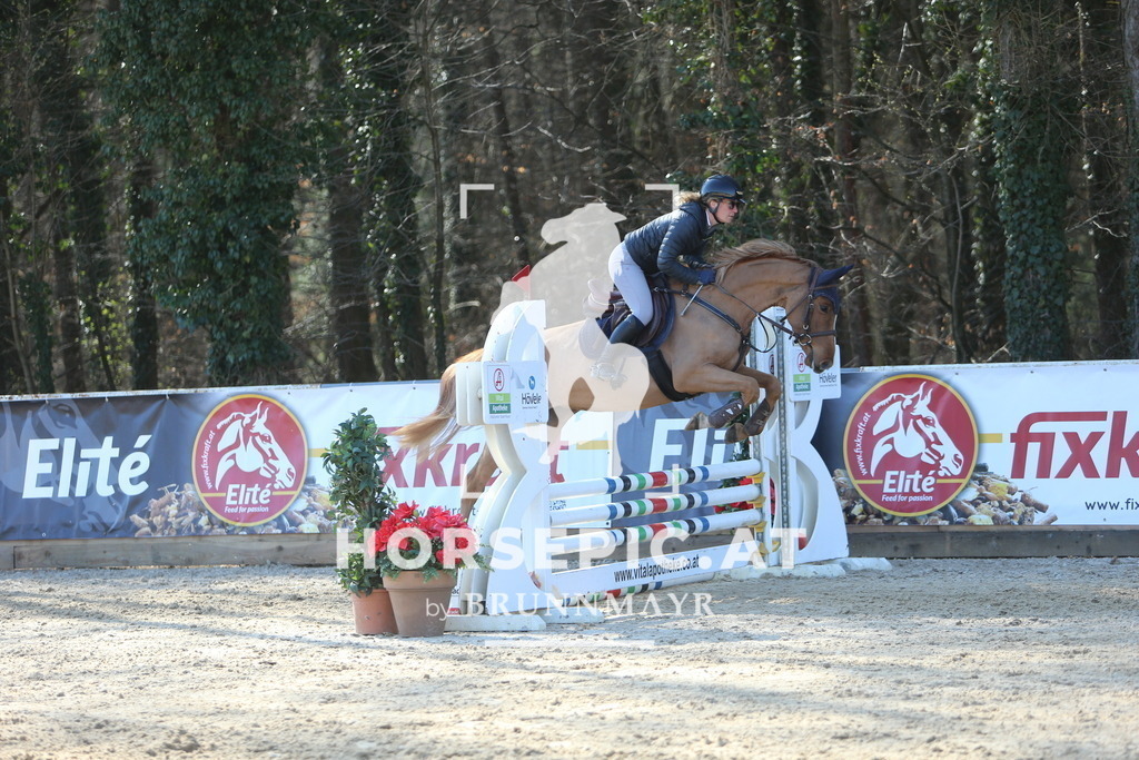 DL2Q2596 | Willkommen bei Brunnmayr - Design & Fotografie – Ihrem Spezialisten für Reitturniere und Pferdeveranstaltungen in Oberösterreich, Salzburg und Bayern! Seit über 17 Jahren sind wir leidenschaftlich dabei.