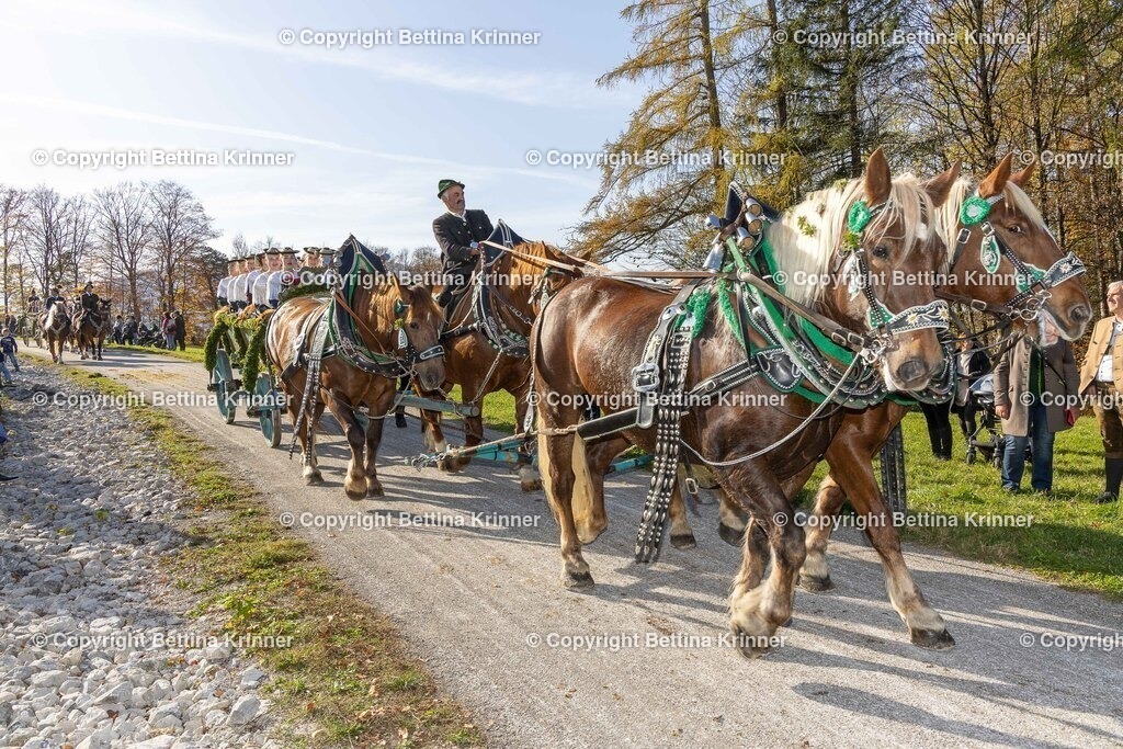 LBT24-1451 | foto-bettina-krinner - Realisiert mit Pictrs.com