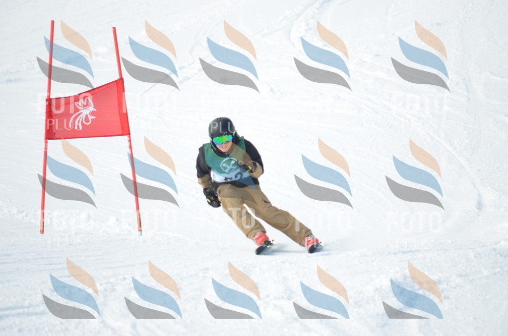 D8806 | holidayphoto