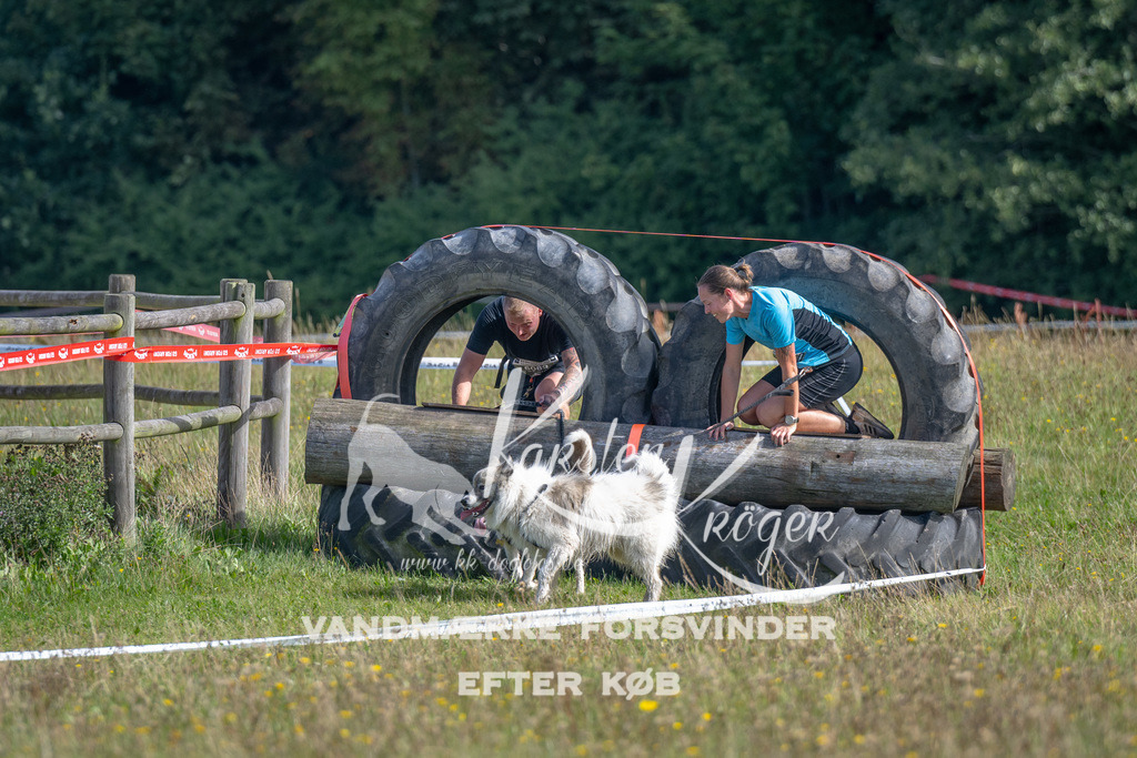 1141_ZZ90970 | kk-dogfotos