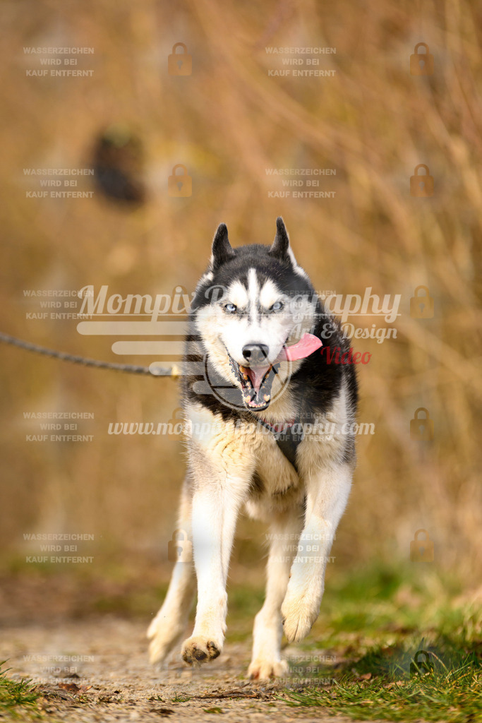 MompixPhotography_Schwabentrail2024_DS1-96 | PayLife