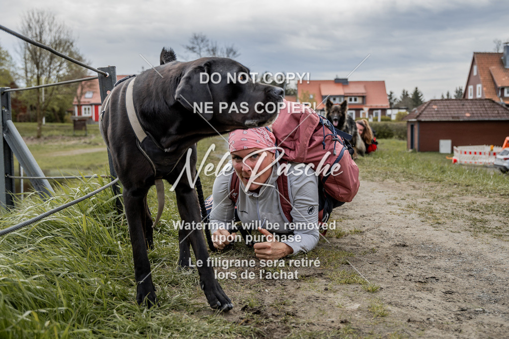 NR__2582 | nelerasche