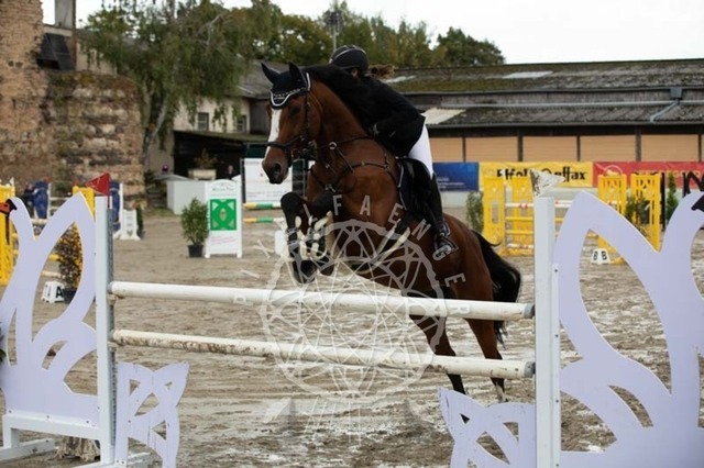 2B4A3463 | pixelfaenger - Realisiert mit Pictrs.com