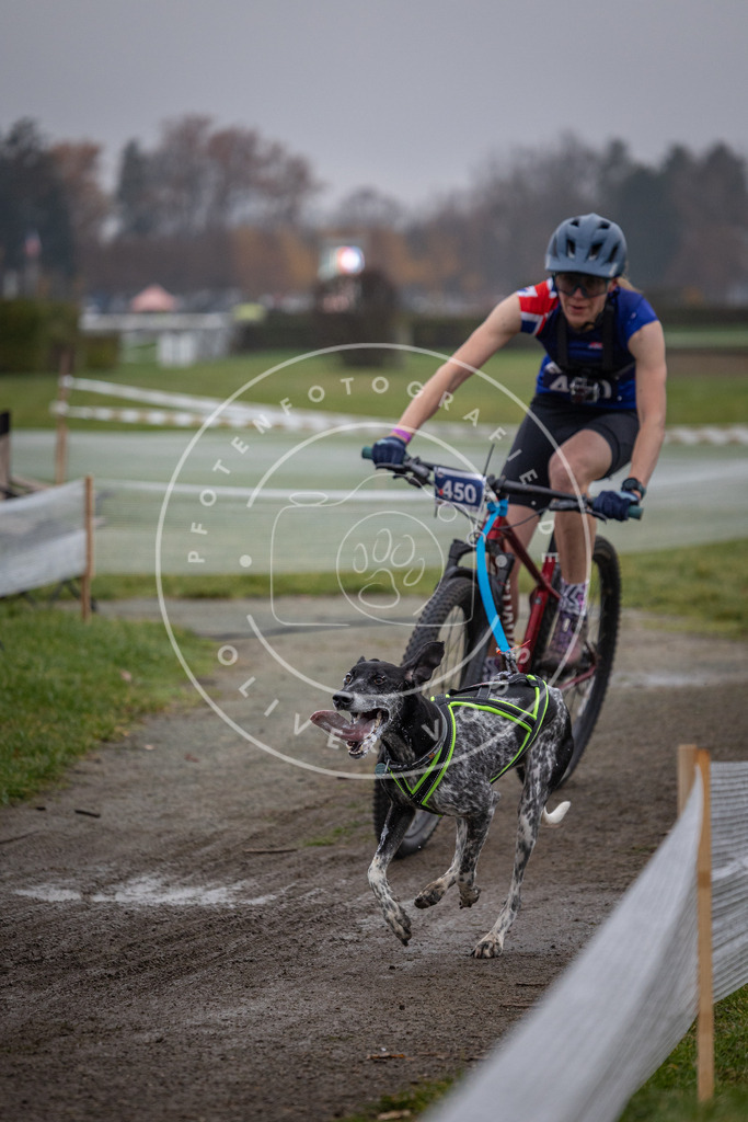 CaniXpix_0L8A1658 | Hundefotografie, Tierfotograf, Pfotenfotografie, Fotoshooting Hund, Hunde Portrait, Hundesport, Hundeportraits, Heideshooting, Hunde, Sportfotograf, Hundefotograf, Turnierhundsport, THS,  - Realisiert mit Pictrs.com