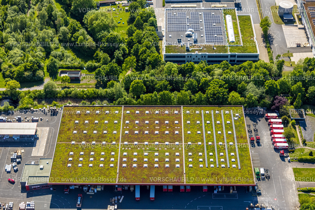 Hamm250500708Druckzentrum_DEX-2 Kopie | Luftbild, Dachdeckereinkauf, DEX, Rhynern, Dachbegrünung, Hamm , Ruhrgebiet, Nordrhein-Westfalen, Deutschland